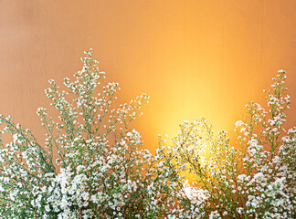 White spay flowers on a yellow background with bright lights.