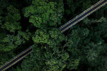 Aerial drone view of Rengganis suspension bridge through the forest. Longest suspension bridge in southeast asia located in Bandung Indonesia