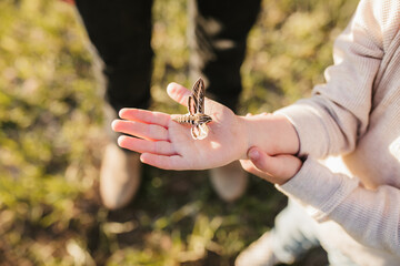 hand holding a moth