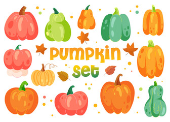 Fototapeta premium Set of autumn pumpkins. Vector collection of green, orange, red harvest vegetables for fall decoration season. 