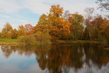 autumn in the park