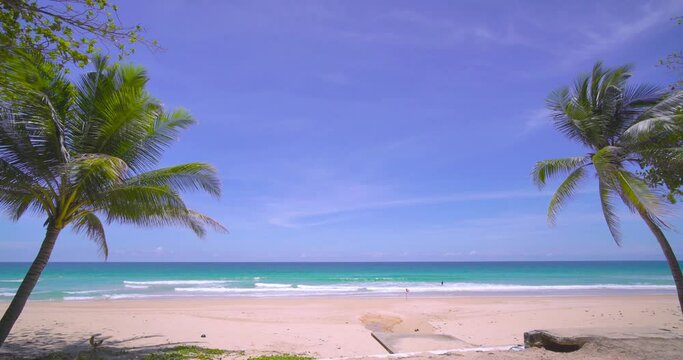 Coconut tree on beach sea blue sky background