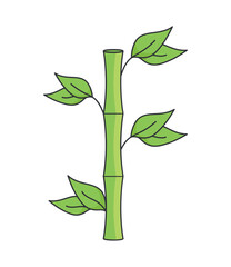 Fototapeta na wymiar bamboo plant with leafs