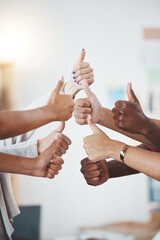 Thumbs up, hand or gesture for success, support or trust. Diverse group or team of business men or...