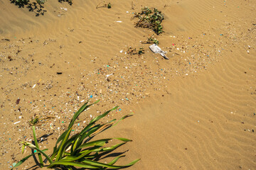 Microplastics on Sand Beach