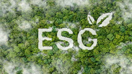 ESG concept of environmental, social and governance on Top view of nature for sustainable organizational development. ​account the environment, society and corporate governance - obrazy, fototapety, plakaty