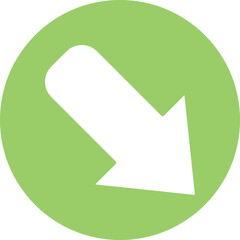 Down Right Icon Style