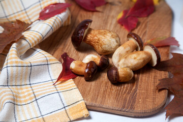 Several Imleria Badia or Boletus badius mushrooms commonly known as the bay bolete on wooden cutting board..