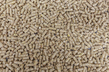 Closeup view of granules - food for broilers at chicken farm.