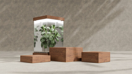 Minimal Abstract cosmetic background for product presentation. wood podium and green leaf in glass natural background. 3d render illustration. Display for natural products