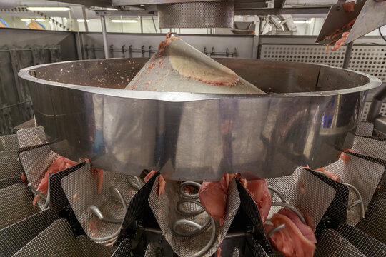 Special equipment for evisceration, separation, cutting and deboning broilers carcasses.