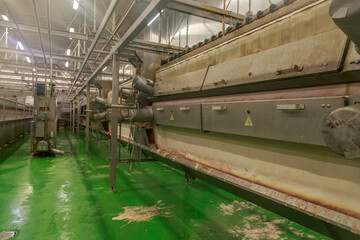 Equipment for scalding at slaughterhouse in big chicken farm.