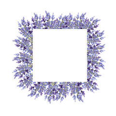 Watercolor lavender illustration for banner and poscard
