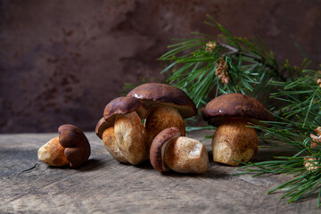 A lot of Imleria Badia or Boletus badius mushrooms commonly known as the bay bolete on vintage wooden background..
