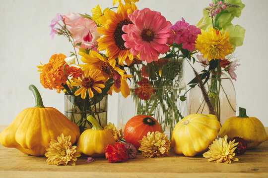 Autumn moody still life, atmospheric image. Colorful autumn flowers, pumpkins, pattypan squashes composition on rustic wooden table. Harvest in countryside. Happy Thanksgiving! Hello Fall