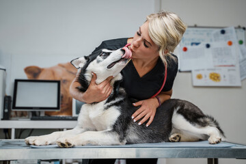 Fototapeta na wymiar Portrait of blond haired glad veterinarian woman kissing husky dog in veterinary clinic.