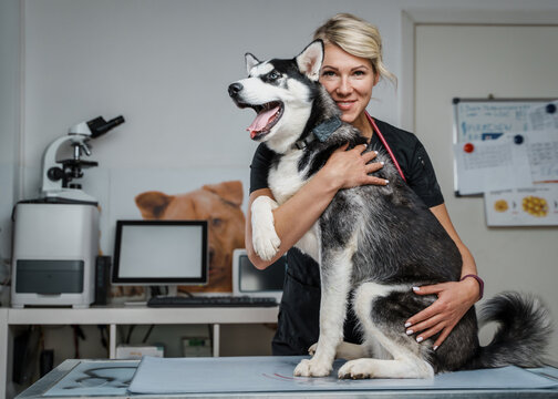 Portrait of woman vet and her professional occupation in modern veterinary hospital.