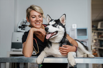 Portrait of professional vet woman dressed in uniform and husky dog lying on table.