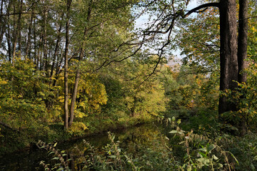 A SMALL RIVER IN THE AUTUMN FOREST