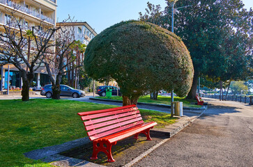 The red bench and topiary plants in lakeside park, Locarno, Switzerland