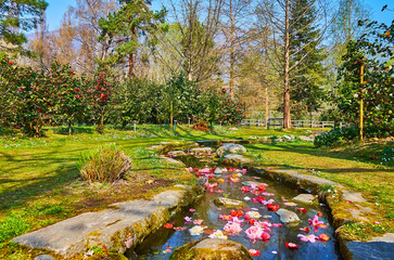 Beautiful spots of Camellia Park of Locarno, Switzerland