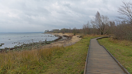 Fototapeta na wymiar Wood walkway thorugh the wilderness of Pljasaare park on the Baltic sea ccoast near Tallin, Estonia, on a cloudy winter day