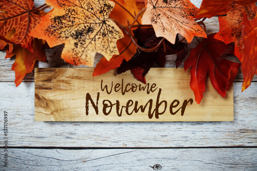 Wall mural Welcome November text message written on sign board hanging with autumn maple leaves