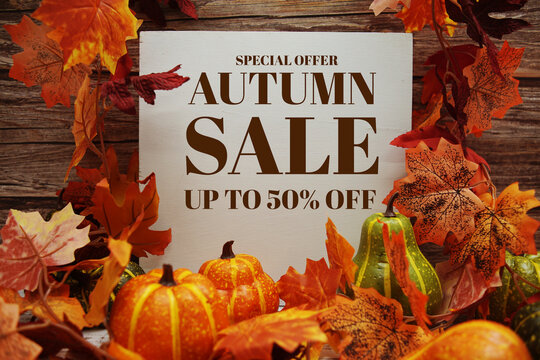 Autumn Sale text message with autumn maple leaves and pumpkins on wooden background