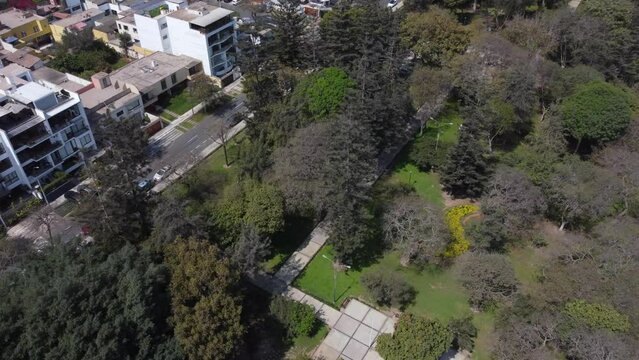 Drone video of a public park in Lima Peru in Miraflores district. Drone orbits while tilting camera up. Many pine and other trees in the park surrounded by residential apartment buildings.