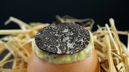 oeuf et truffe