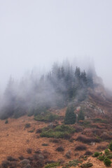 Vertical landscape with view on mountain with spruce forest on foggy summit.