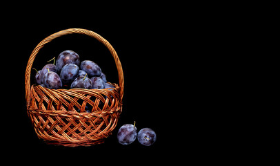  fruits in a basket of ripe plums on a black background