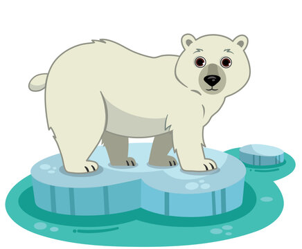 Vector illustration of a polar bear on an ice floe.