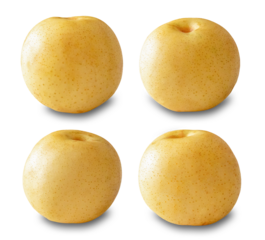 梨（ナシ）秋の果物・フルーツ／切り抜き済／影付シャドウ有