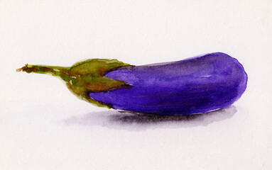 watercolor painting of eggplant