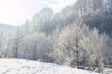 glade in the snow near the forest and mountains in the winter season. winter view