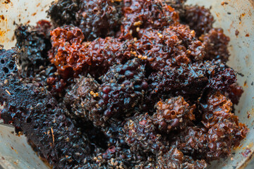 Detail of stingless beekeeping trigona producing one of the finest honey and pollen in a propolis bag, selective focus, close up image