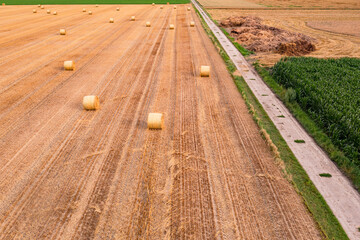 A dirt road divides a field of hay bales from a cornfield in midsummer seen by drone