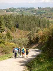 Obraz premium Italia, Toscana, Firenze, Trekking nella campagna di Certaldo.
