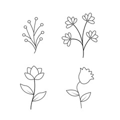 set of abstract nature leaves and flowers. Natural herbal foliage and flower art in online style. Decorative beauty elegant illustration