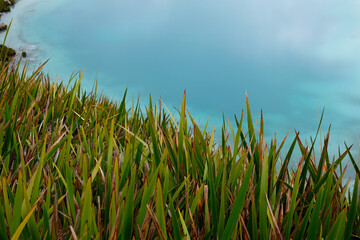 Close up of turquoise water volcanic crater lake and wild green grasses at summit of Mount Balbi on the remote tropical island of Bougainville, Papua New Guinea