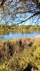 Narew river during the sunset at autumn