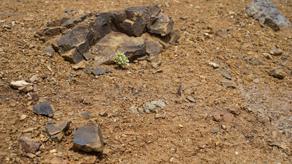 Orange clay soil with stones.