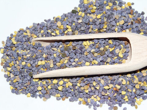 Raw phacelia pollen on a wooden spoon. Raw bee pollen