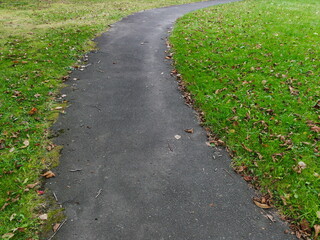 公園の道