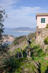 sestri levante village in Liguria, Italy - 537191726