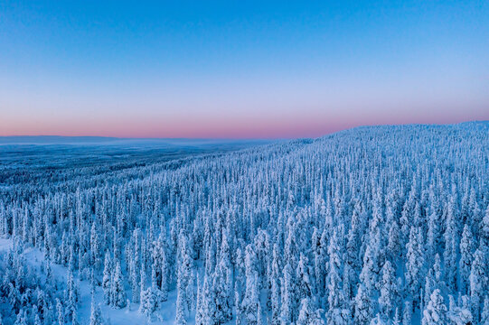 Frosty sunset over winter Lapland