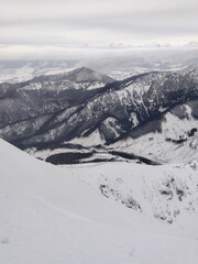 landscape panoramic view of snowed winter tatra mountains © phpetrunina14