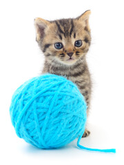 Kitten with ball of yarn.