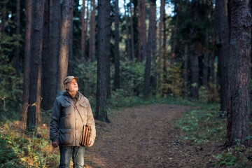 Fototapeta na wymiar forester man conducts monitoring in pine national park. environmental Protection. forest industry